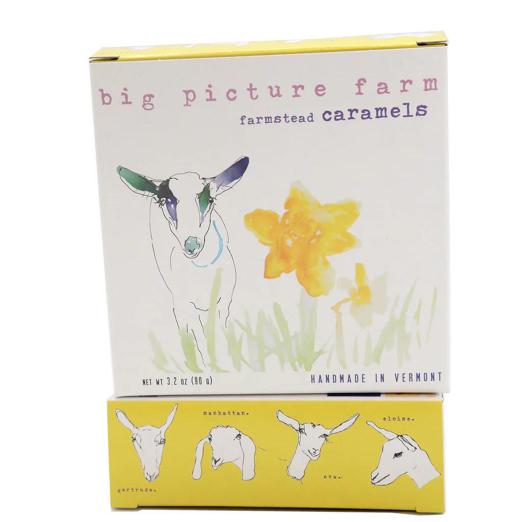 Goat Milk Caramels - Daffodil Box